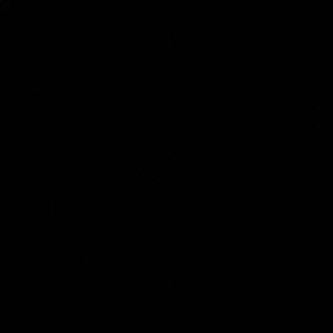 ITEM SOLD DO NOT BUY